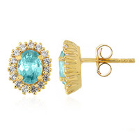 Ratanakiri Zircon Silver Earrings