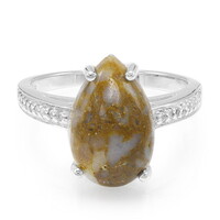 Dinosaur Bone Silver Ring