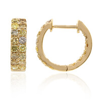 14K SI2 Fancy Diamond Gold Earrings (CIRARI)