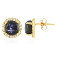 Indian star diopside Silver Earrings