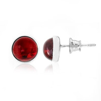 Colombian red Amber Silver Earrings