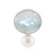 Rainbow Moonstone Silver Pendant (MONOSONO COLLECTION)