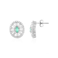 Colombian Emerald Silver Earrings