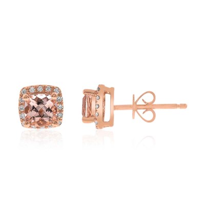 10K AAA Morganite Gold Earrings
