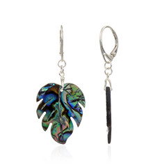 Abalone Shell Silver Earrings