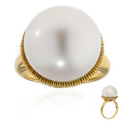 18K White South Sea Pearl Gold Ring (Michelle Albala)