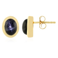 Indian star diopside Silver Earrings
