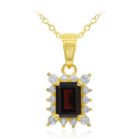 Garnet Silver Necklace