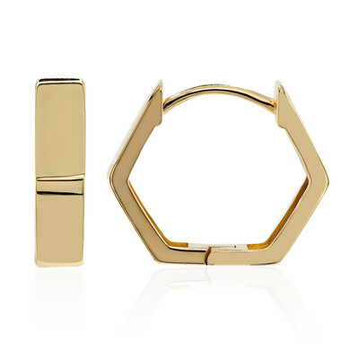 Silver Earrings (M de Luca)