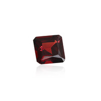 Mozambique Garnet other gemstone 4,627 ct
