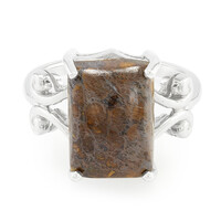 Dinosaur Bone Silver Ring