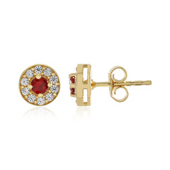 Tanzanian Ruby Silver Earrings (Adela Silber)