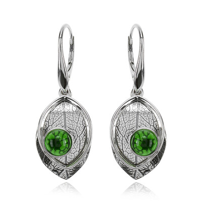 Colombian green Amber Silver Earrings (dagen)