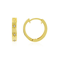 PK (J) Diamond Silver Earrings