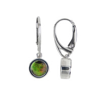 Ammolite Silver Earrings