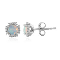 Welo Opal Silver Earrings