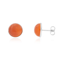 Carnelian Silver Earrings (CUSTODANA)