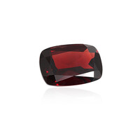 Mozambique Garnet other gemstone 25,413 ct