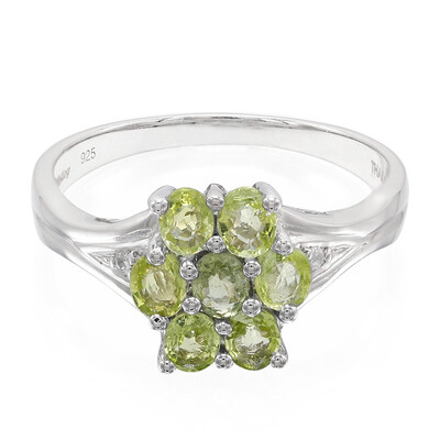 Paraiba Tourmaline Silver Ring