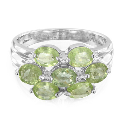 Paraiba Tourmaline Silver Ring