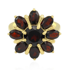 Garnet Silver Ring