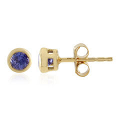 Tanzanite Silver Earrings (Adela Silber)