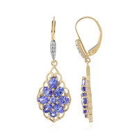 9K Tanzanite Gold Earrings (Adela Gold)