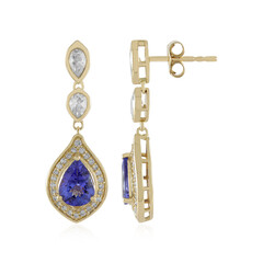 14K AAA Tanzanite Gold Earrings (de Melo)