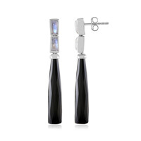 Black Onyx Silver Earrings (KM by Juwelo)
