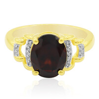 Mozambique Garnet Silver Ring (Remy Rotenier)