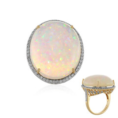 14K AAA Welo Opal Gold Ring (AMAYANI)