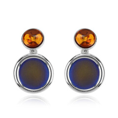 Baltic Amber other Earrings