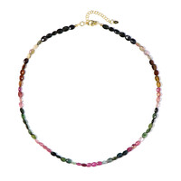 Fancy Tourmaline Silver Necklace