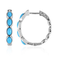 Sleeping Beauty Turquoise Silver Earrings