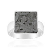 Aletai-Meteorite Silver Ring