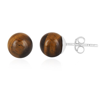 Tiger´s Eye Silver Earrings