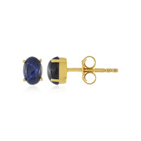 Blue Star Sapphire Silver Earrings