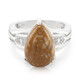 Dinosaur Bone Silver Ring