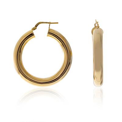 Silver Earrings (Joias do Paraíso)