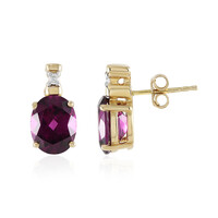 9K Magenta Garnet Gold Earrings