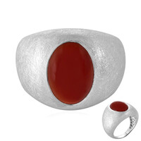 Onyx Silver Ring