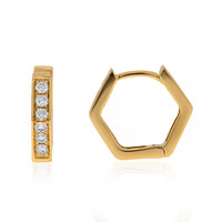 9K Flawless (F) Diamond Gold Earrings (LUCENT DIAMONDS)