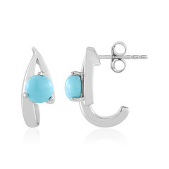 Sleeping Beauty Turquoise Silver Earrings (de Melo)