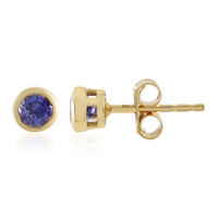 Tanzanite Silver Earrings (Adela Silber)