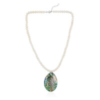 Abalone Shell Silver Necklace (TPC)