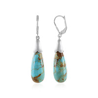 Kingman Turquoise Silver Earrings