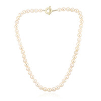 Akoya Pearl Silver Necklace (TPC)