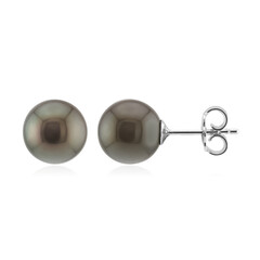 Tahitian Pearl Silver Earrings (TPC)