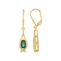 Grandidierite Silver Earrings