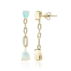 14K AAA Welo Opal Gold Earrings (CIRARI)